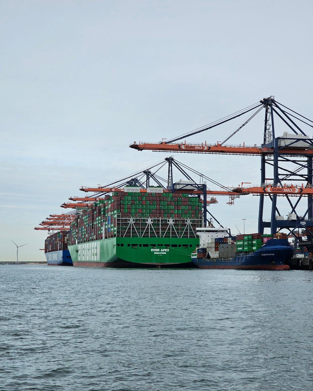 Export terminal